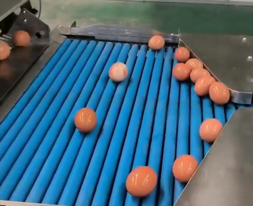 洗蛋機-雙排敲蛋機